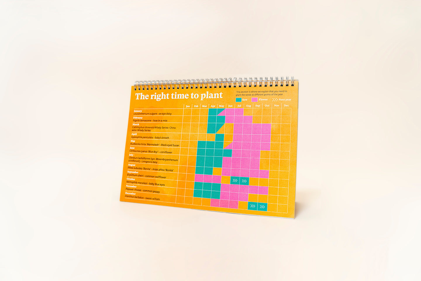TheFoalyard RHS Willsow Plantable Desk Calendar right time