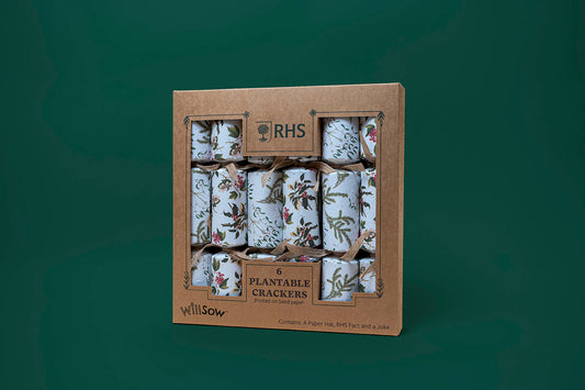 TheFoalyard RHS Willsow Set of 6 Plantable Christmas Crackers