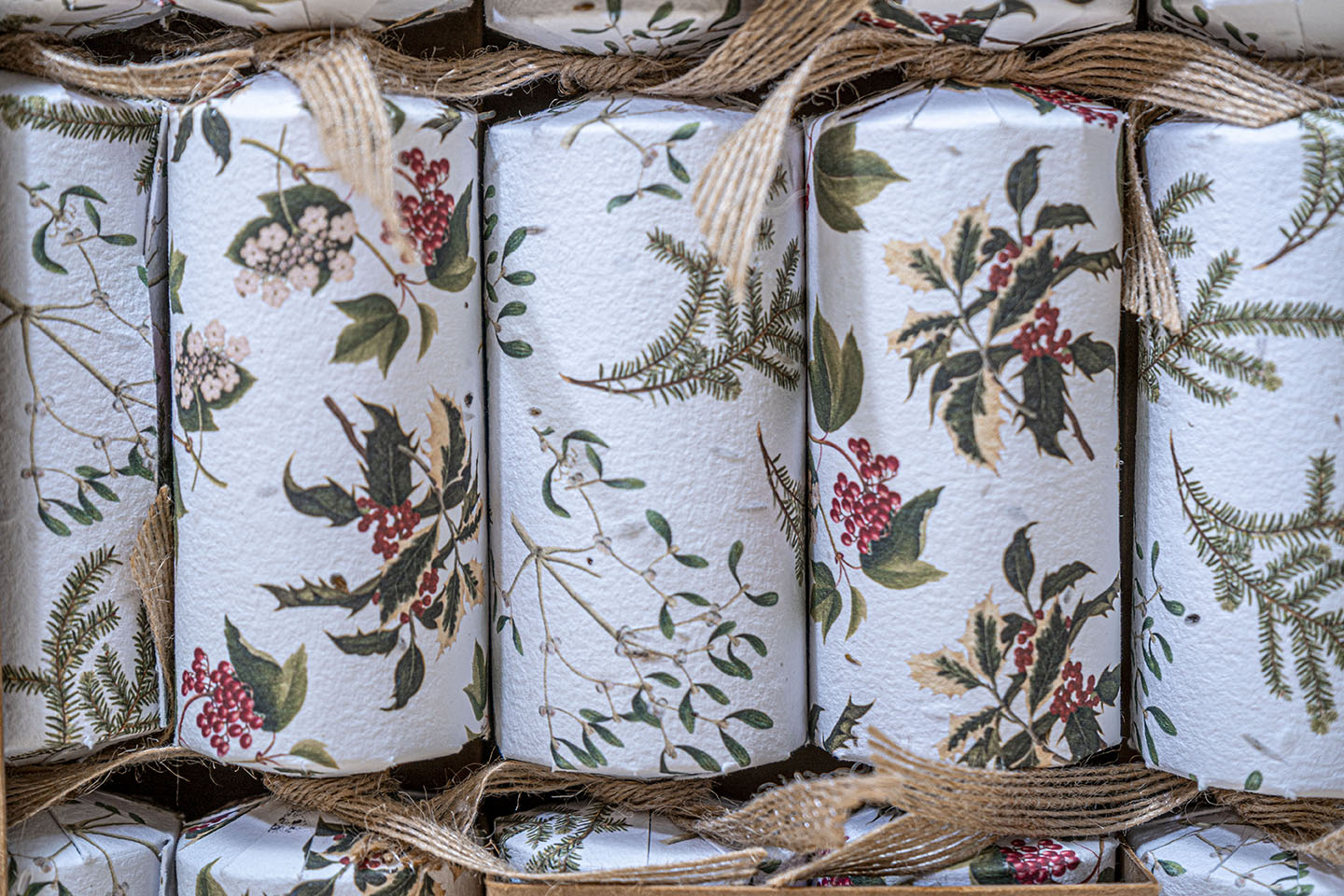 TheFoalyard RHS Willsow Set of 6 Plantable Christmas Crackers close