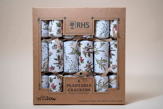 TheFoalyard RHS Willsow Set of 6 Plantable Christmas Crackers front