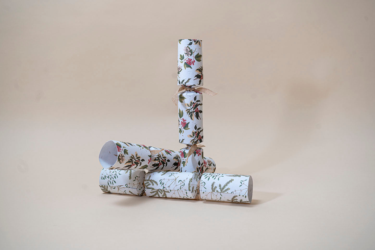 TheFoalyard RHS Willsow Set of 6 Plantable Christmas Crackers standalone
