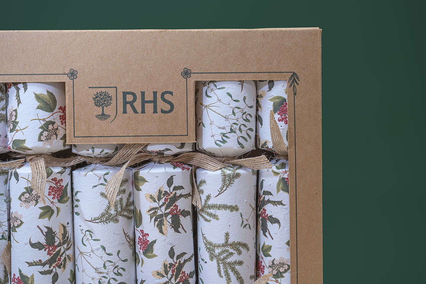 TheFoalyard RHS Willsow Set of 6 Plantable Christmas Crackers top
