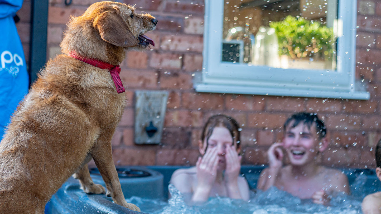 TheFoalyard RotoSpa DuraSpa S380 hot tub Granite Grey with Dark Grey panels 5 6 persons - children friends and dog party