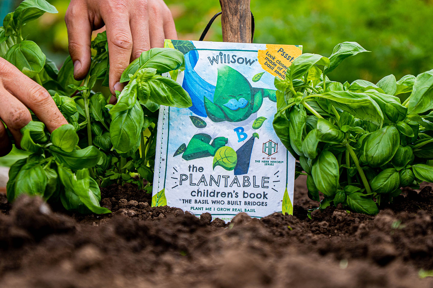 TheFoalyard Willsow The Basil Who Built Bridges The Plantable Basil Childrens Book seeds