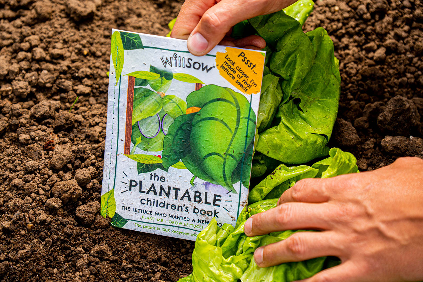 TheFoalyard Willsow The Lettuce Who Wanted a New Look The Plantable Lettuces Childrens Book seeds