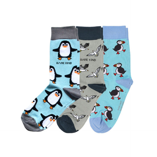 The Seabird Bundle of 3