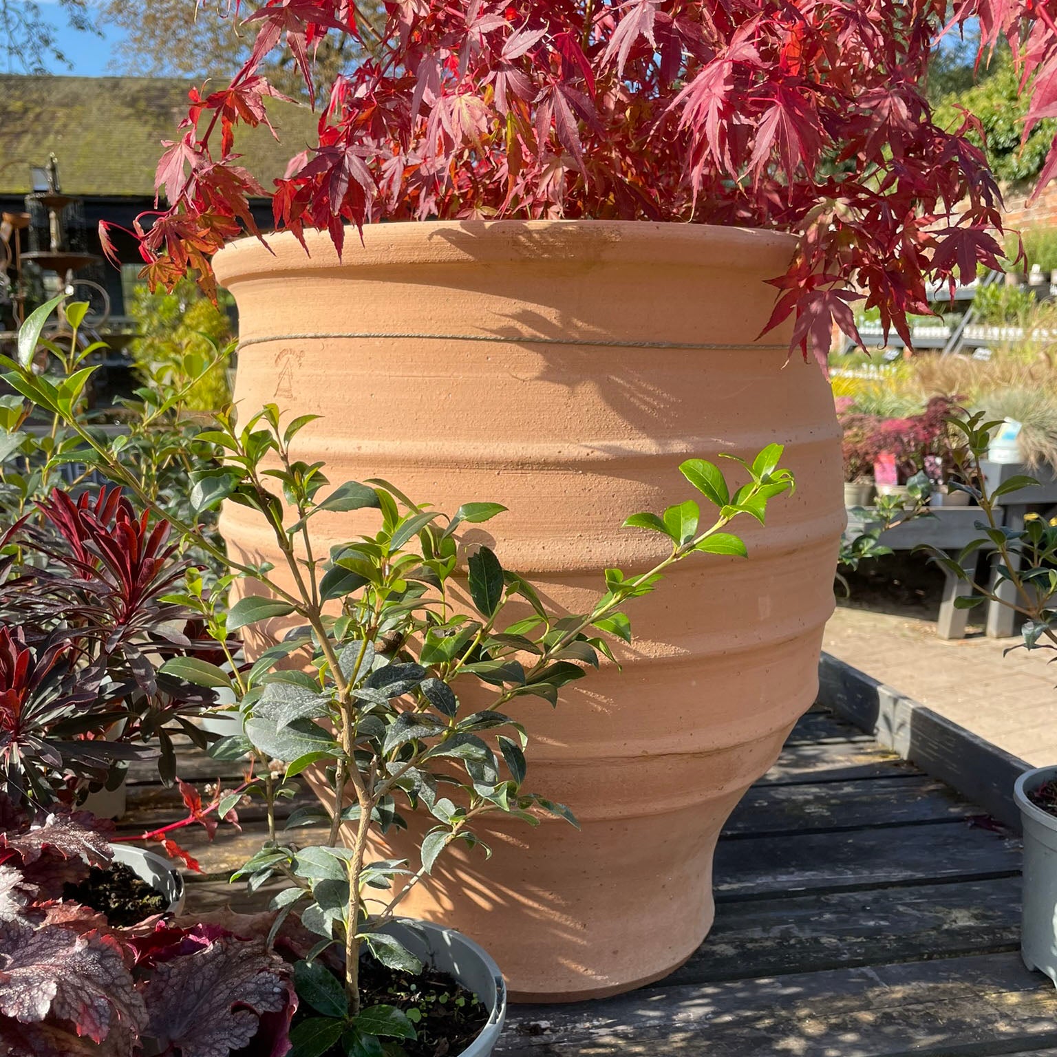 frost proof terracotta plant pots Fraska Cretan Terracotta Large Frost-Proof Pot from H70 x Ø60cm – The Foalyard