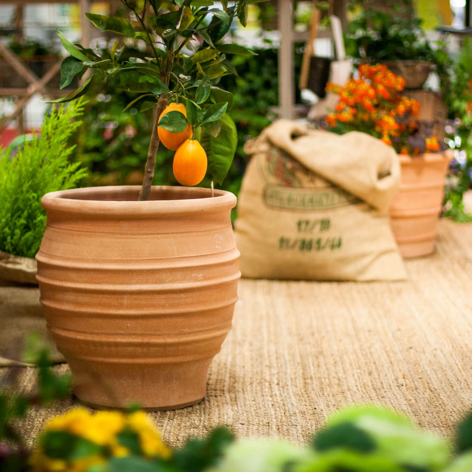 The Foalyard - Fraska Cretan Terracotta Large Frost-Proof Pots from H70 x D60cm home garden trees high quality planters - 50 years warranty - The Terracotta Pot Company - Cretan Ceramics by Andonis Araviakis