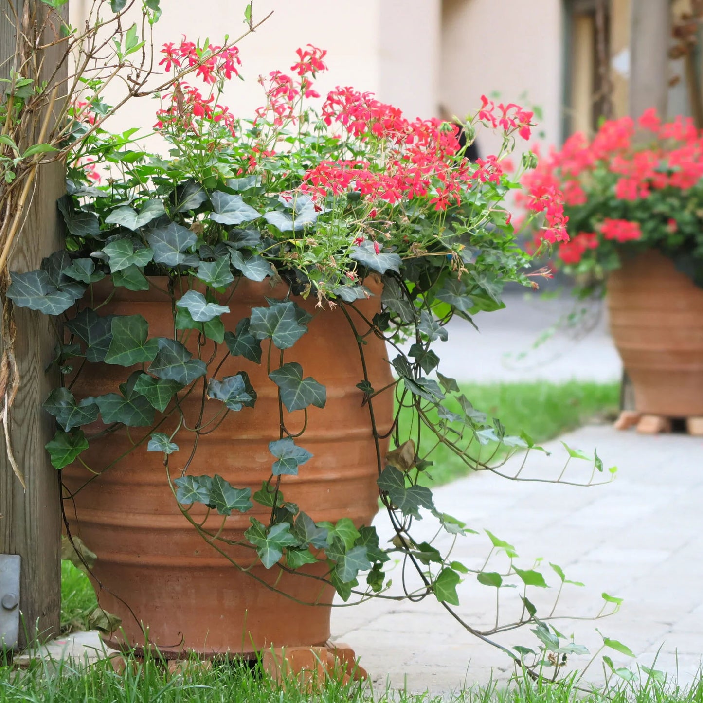 The Foalyard - Fraska Cretan Terracotta Large Frost-Proof Pots from H70 x D60cm premium quality Mediterranean garden decor - 50 years warranty - The Terracotta Pot Company - Cretan Ceramics by Andonis Araviakis