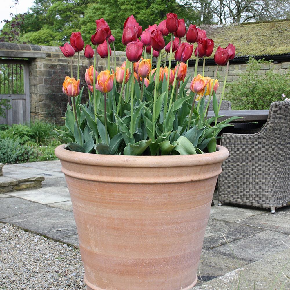 The Foalyard - Sitia Cretan Terracotta Large Frost-Proof Planter H75 x D75cm garden plants premium quality - 50 years guarantee - The Terracotta Pot Company - Cretan Ceramics by Andonis Araviakis