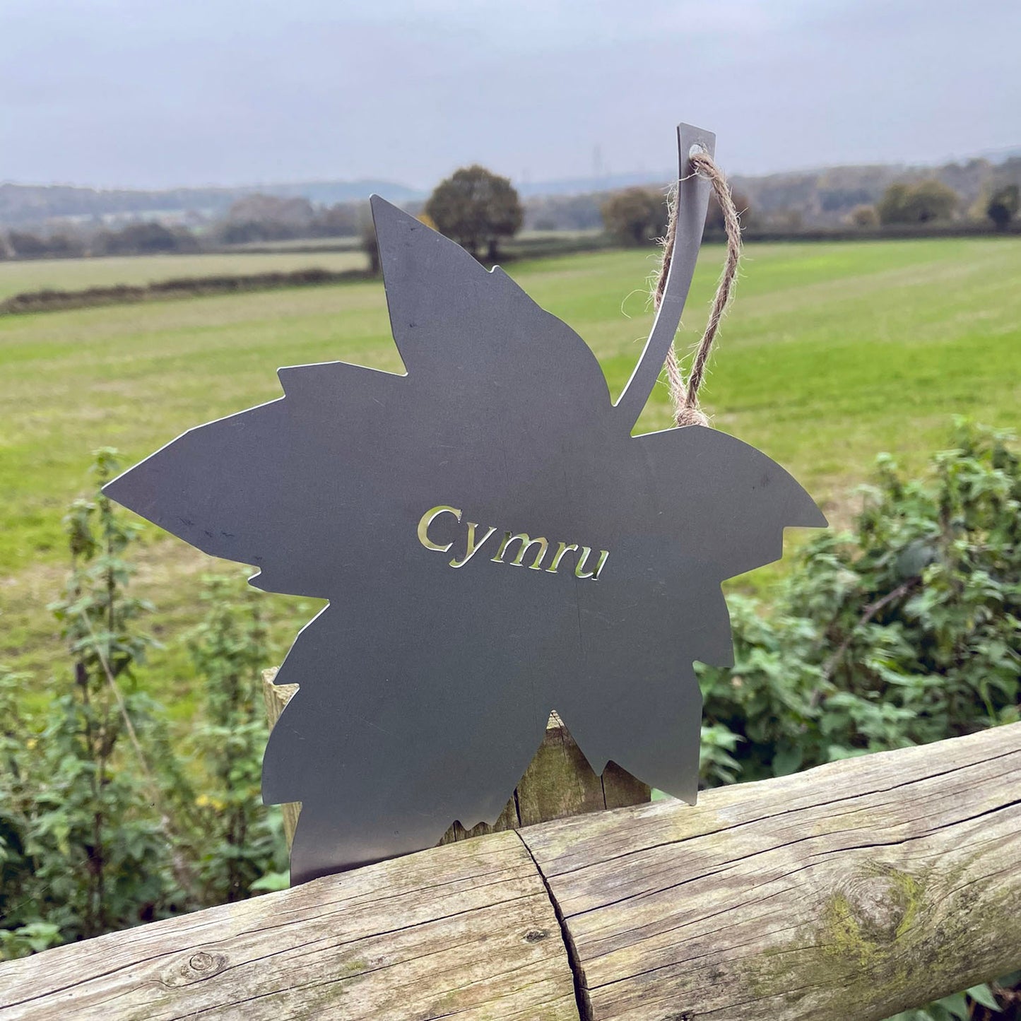 The Foalyard PoppyForge Falling Leaves Cymru Welsh Wales