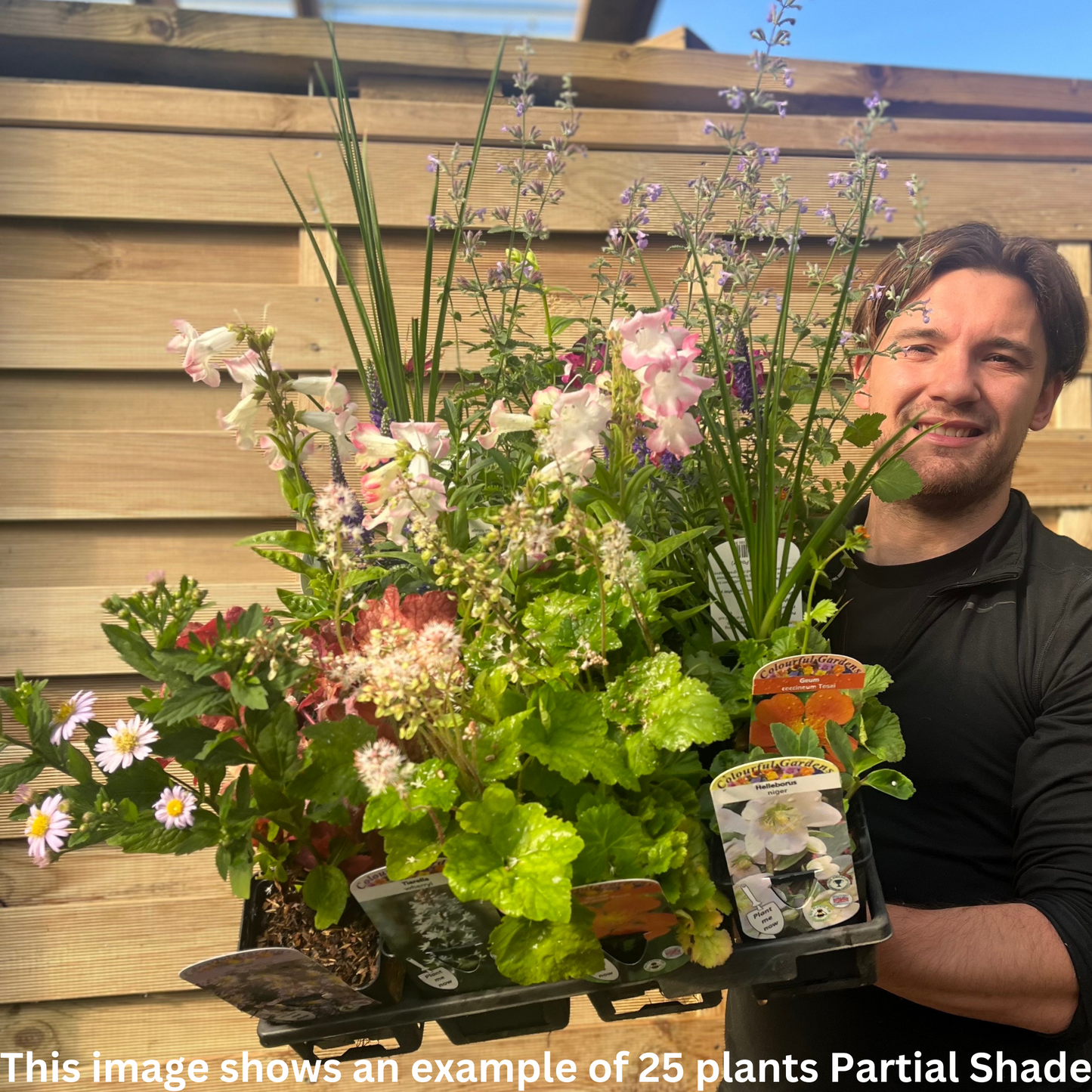 Cottage Garden Ready-made Border