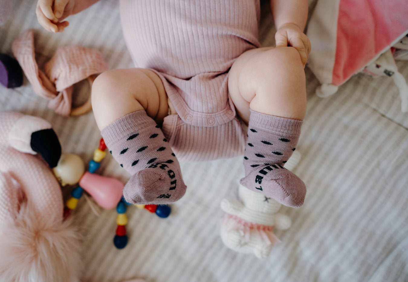 Lamington Crew Socks - Thistle