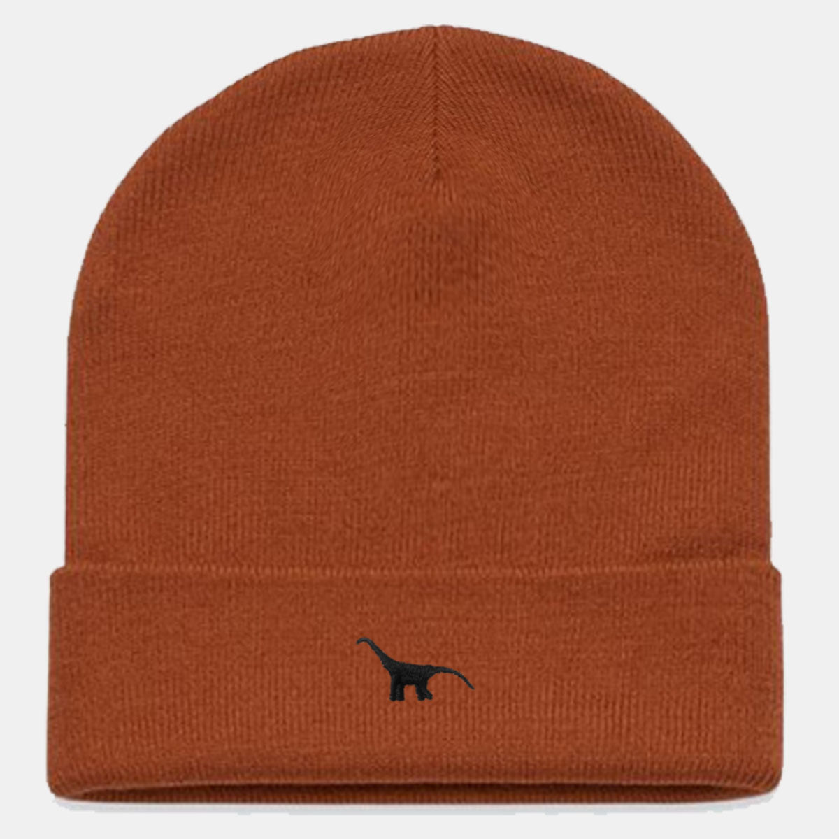 Tiny Embroidered Dino Vegan Cuffed Beanie