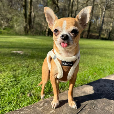 Tiny Trails Step In Soft Touch Suede Effect Faux Fur Lined Puppy and Small Dog Harness Mocha