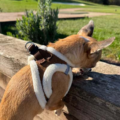 Tiny Trails Step In Soft Touch Suede Effect Faux Fur Lined Puppy and Small Dog Harness Mocha