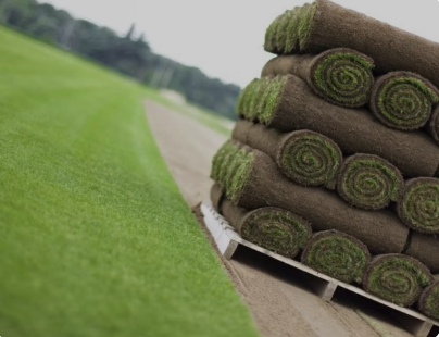 Premier Lawn Turf *Bulk Buy Saver* FREE Pallet Delivery (select pallet amount)
