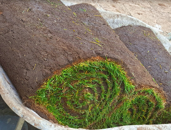 Premier Lawn Turf *Bulk Buy Saver* FREE Pallet Delivery (select pallet amount)