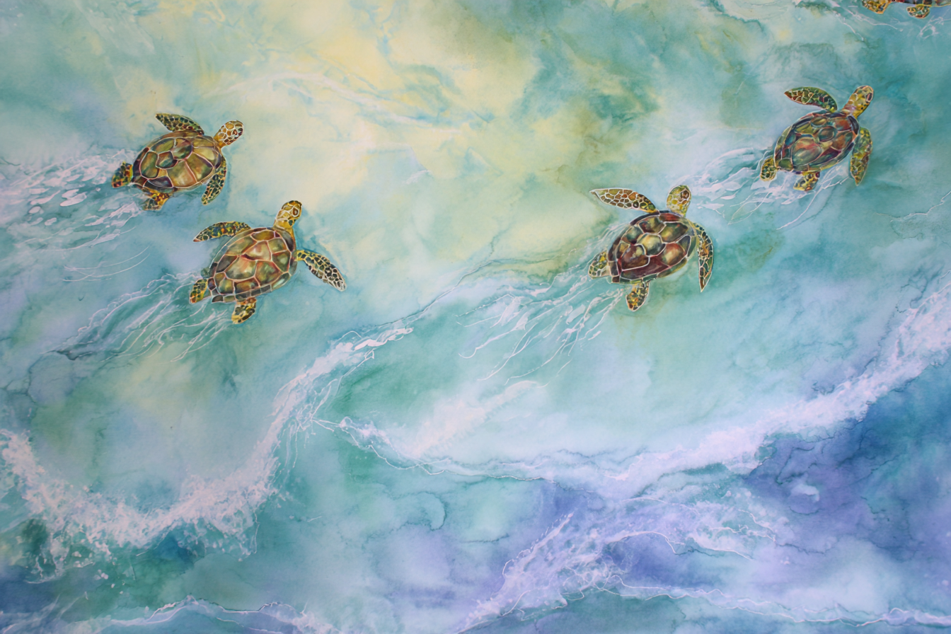 Turtle Tides Canvas