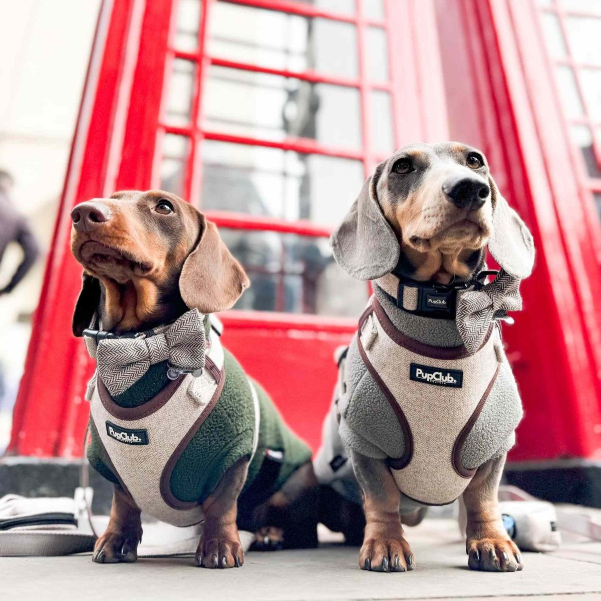 Tweed Adjustable Harness - Brown