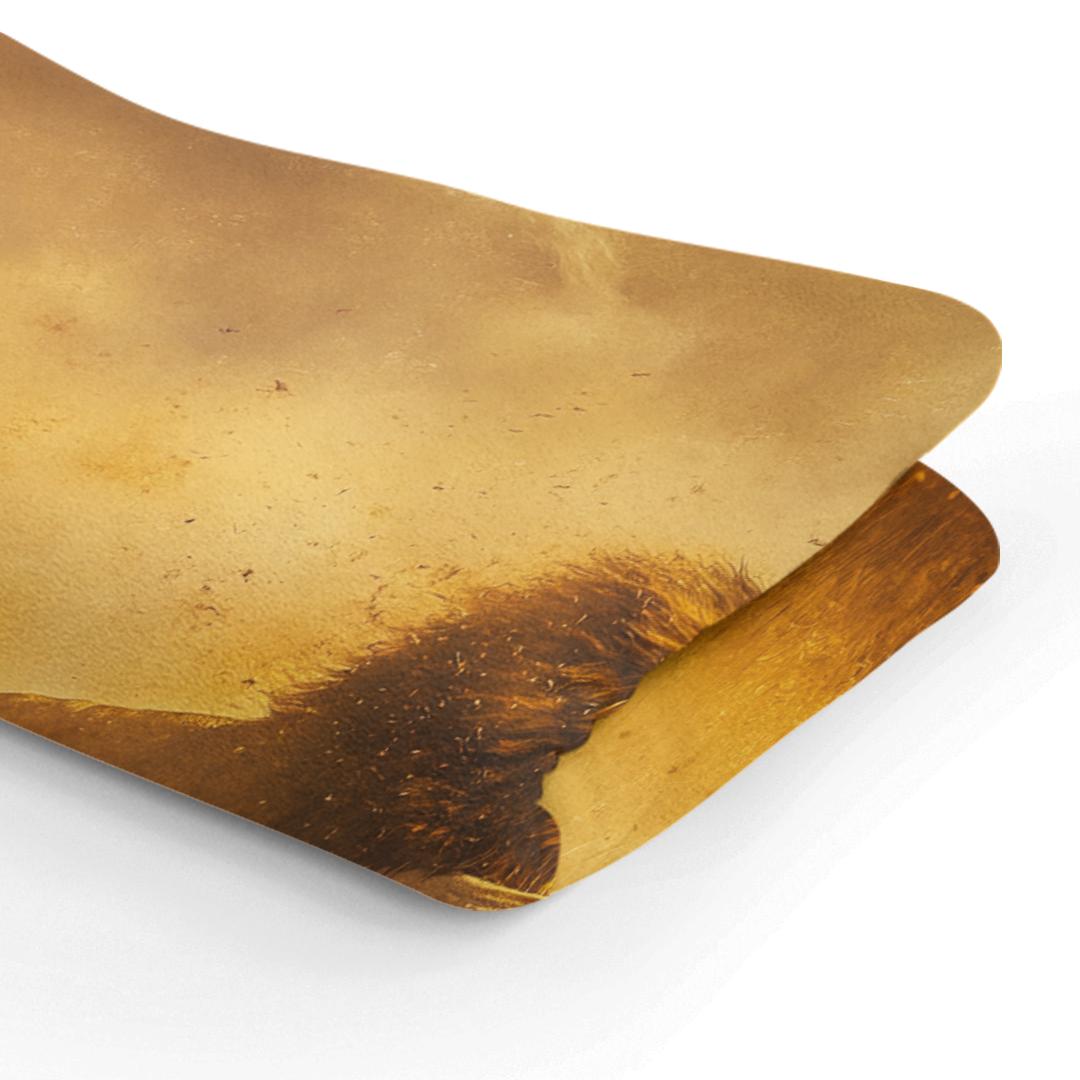 Lion’s Leap Blanket