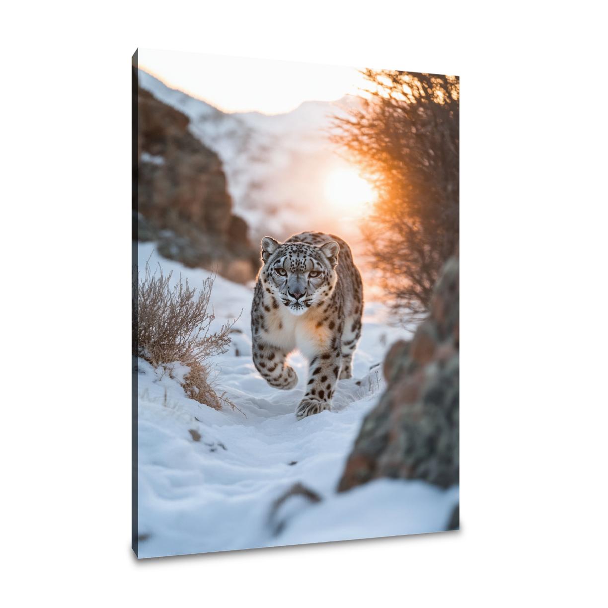 Silent Majesty Canvas