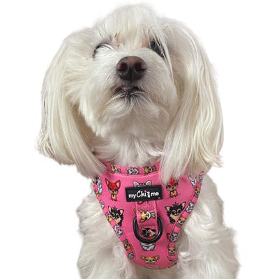 Signature Pink Chihuahua Print Exclusive Small Dog Harness by My Chi and Me SALE