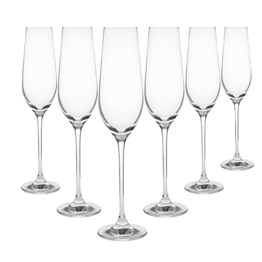 Harmony Champagne Flutes - 230ml - Set of 6