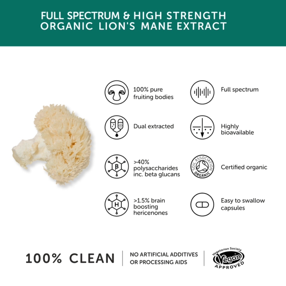 Lion’s Mane Mushroom 1000mg Capsules – High Strength 20:1 Extract (60 Capsules)