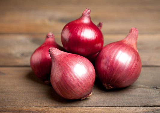Onion Red Baron