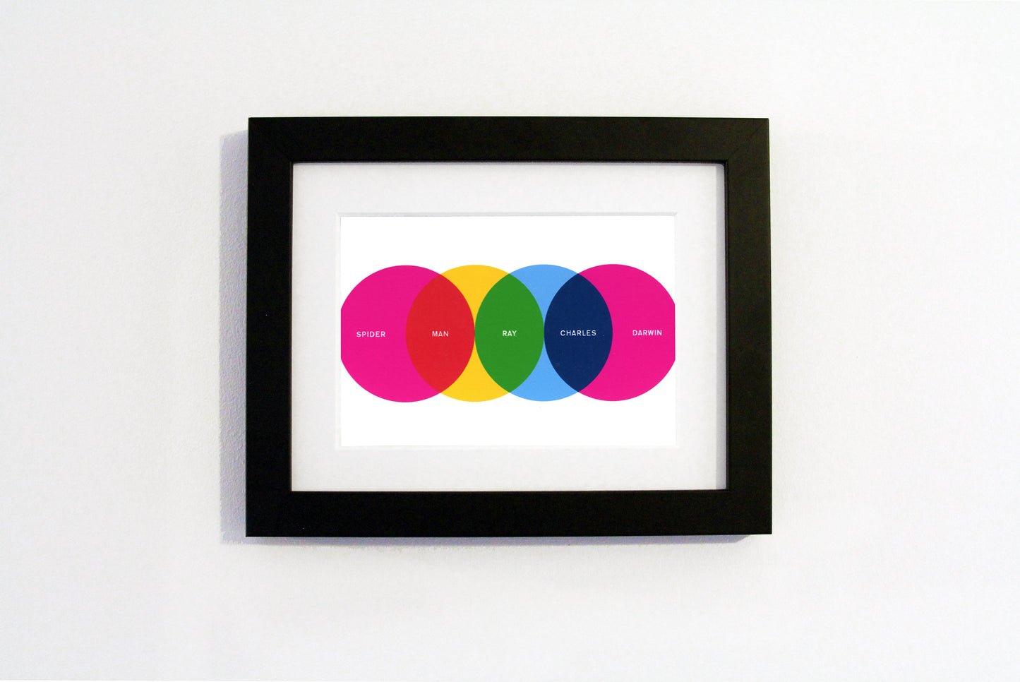 Alistair Gibbs - Venn 04