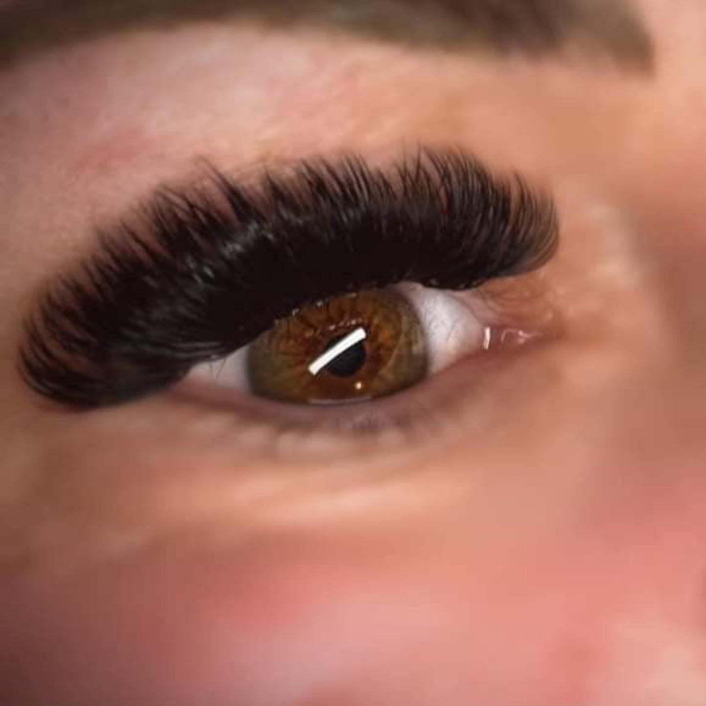 Volume Lash Sample Tray – 5 Rows