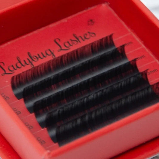 Volume Lash Sample Tray – 5 Rows
