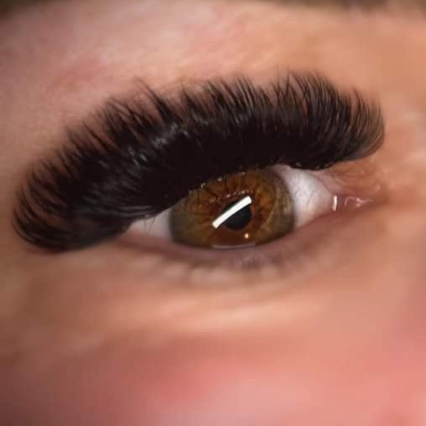 Volume Lashes – 16 Row Mixed Tray