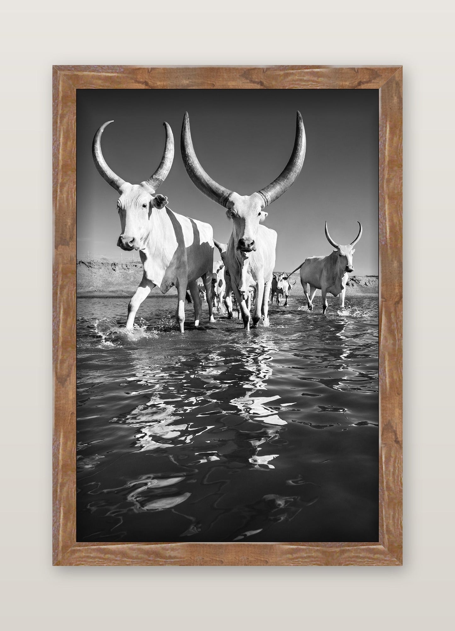 David Ballam - WAT_40