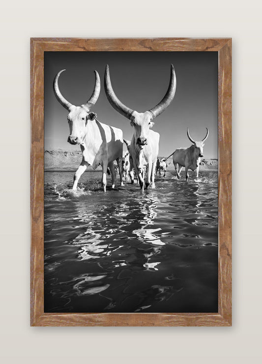 David Ballam - WAT_40