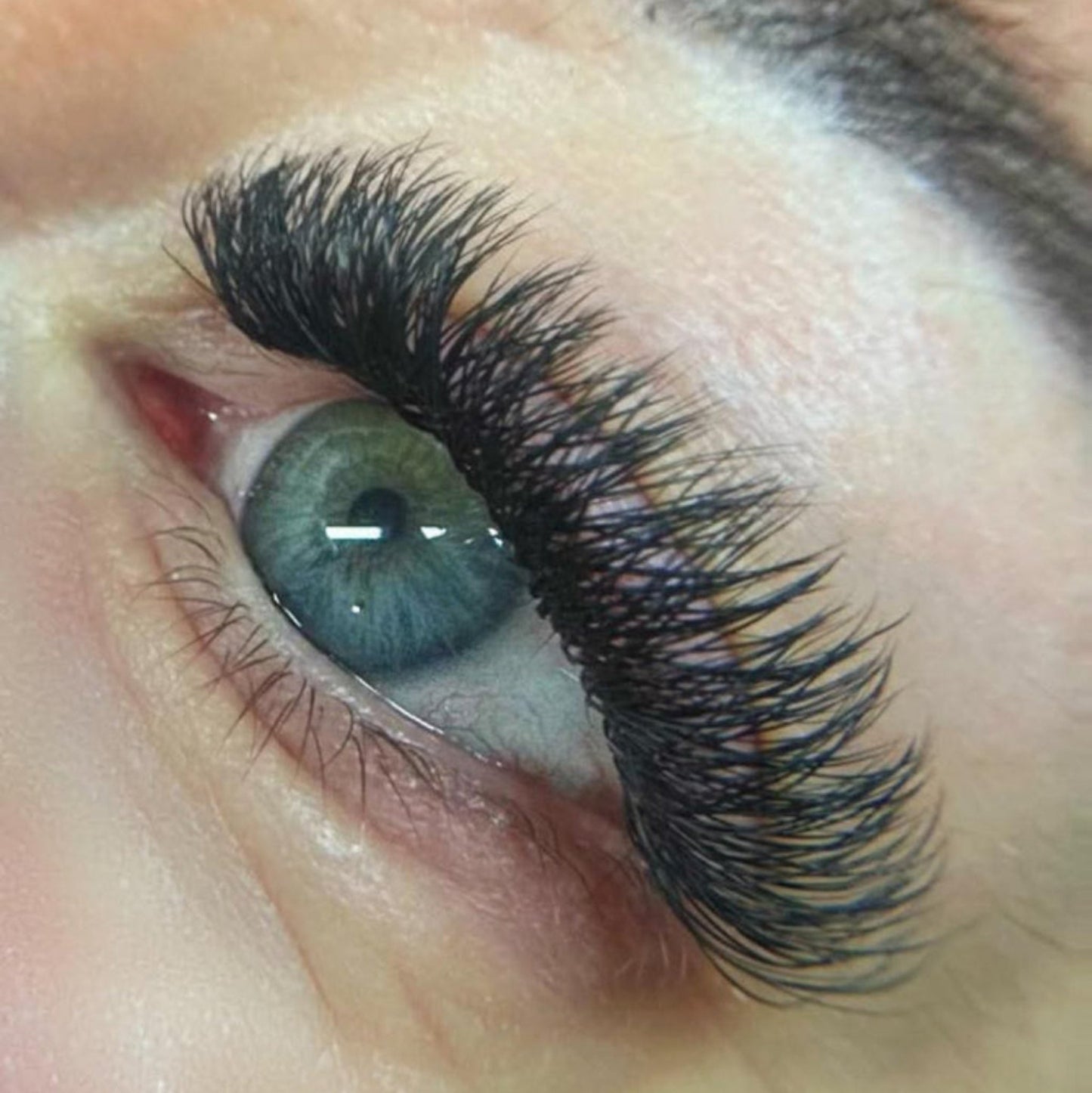 W Lashes – Mixed Tray