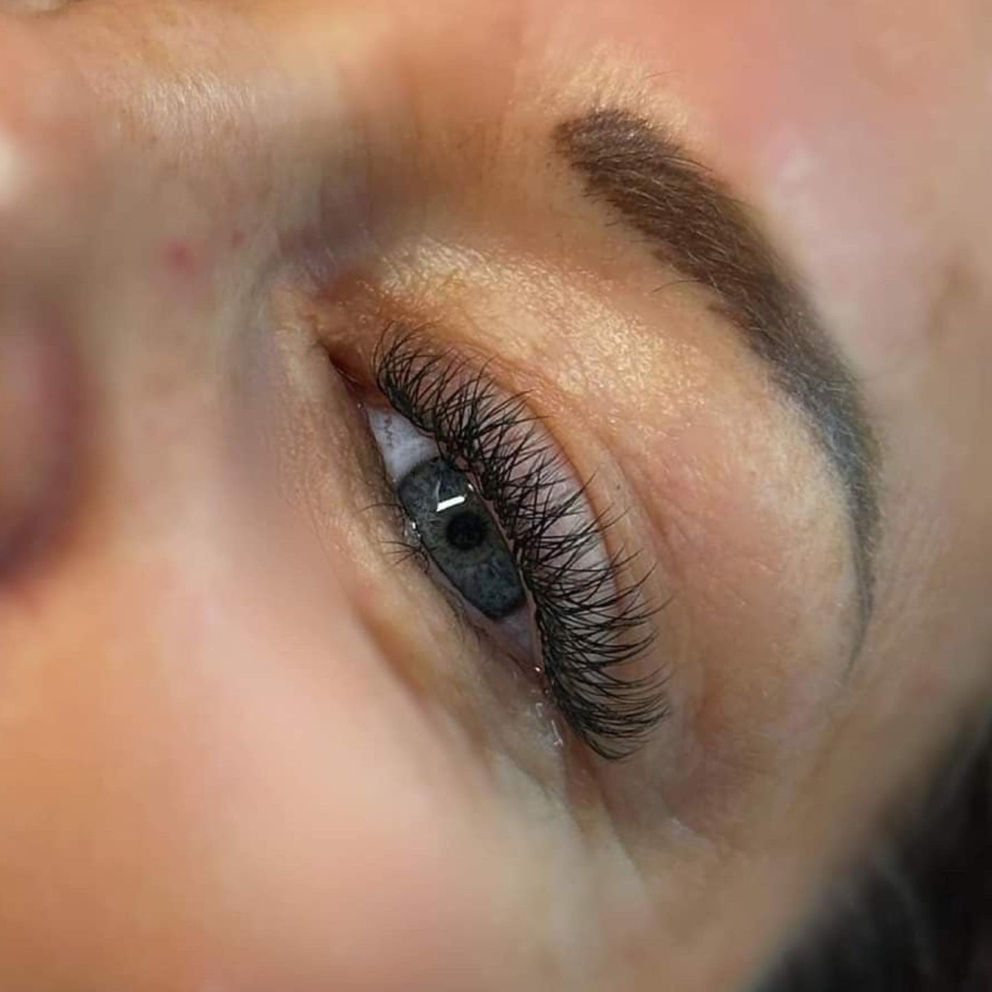 W Lash Sample Tray – 5 Rows