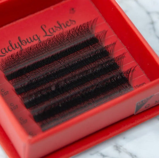 W Lash Sample Tray – 5 Rows