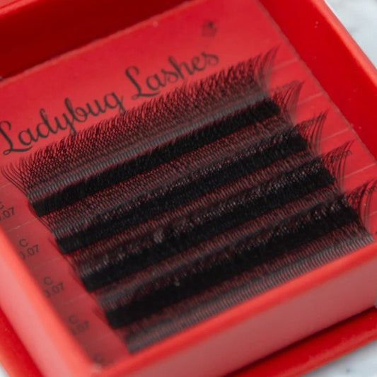 W Lash Sample Tray – 5 Rows