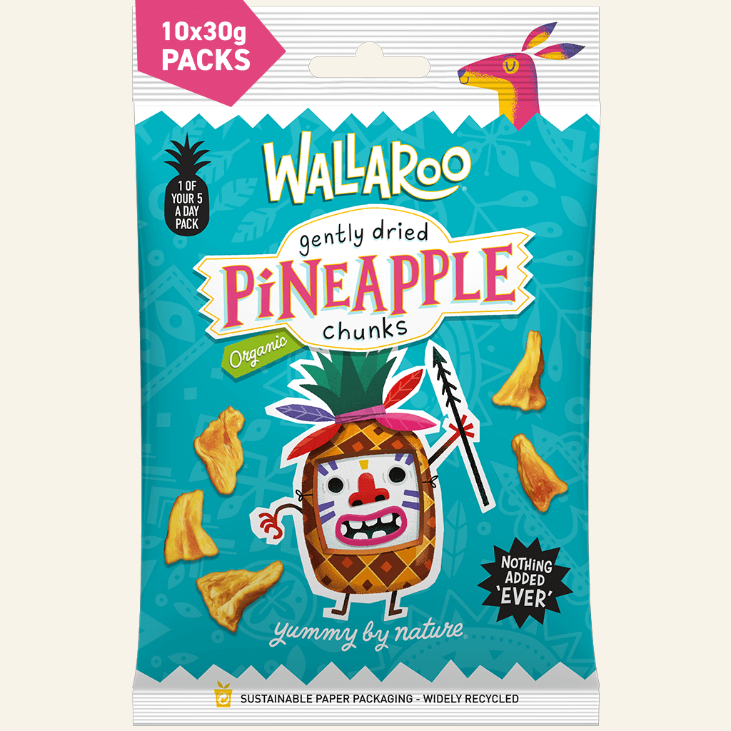 Organic Gently Dried Pineapple Chunks