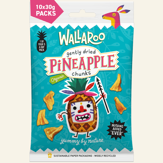 Organic Gently Dried Pineapple Chunks