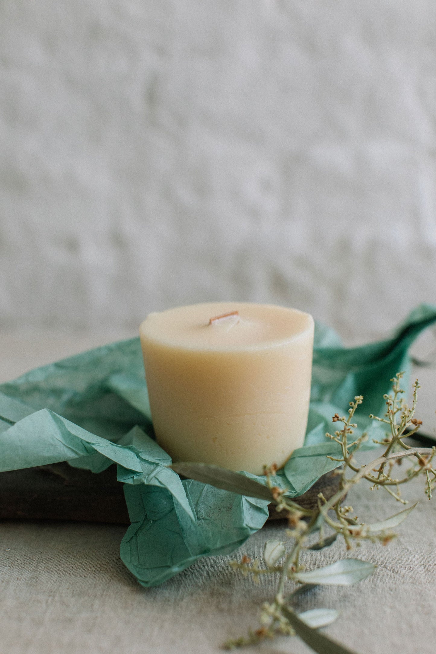 Refill Candle: Dancing with the Daffodils - Daffodil, Rosewood, Green Stems
