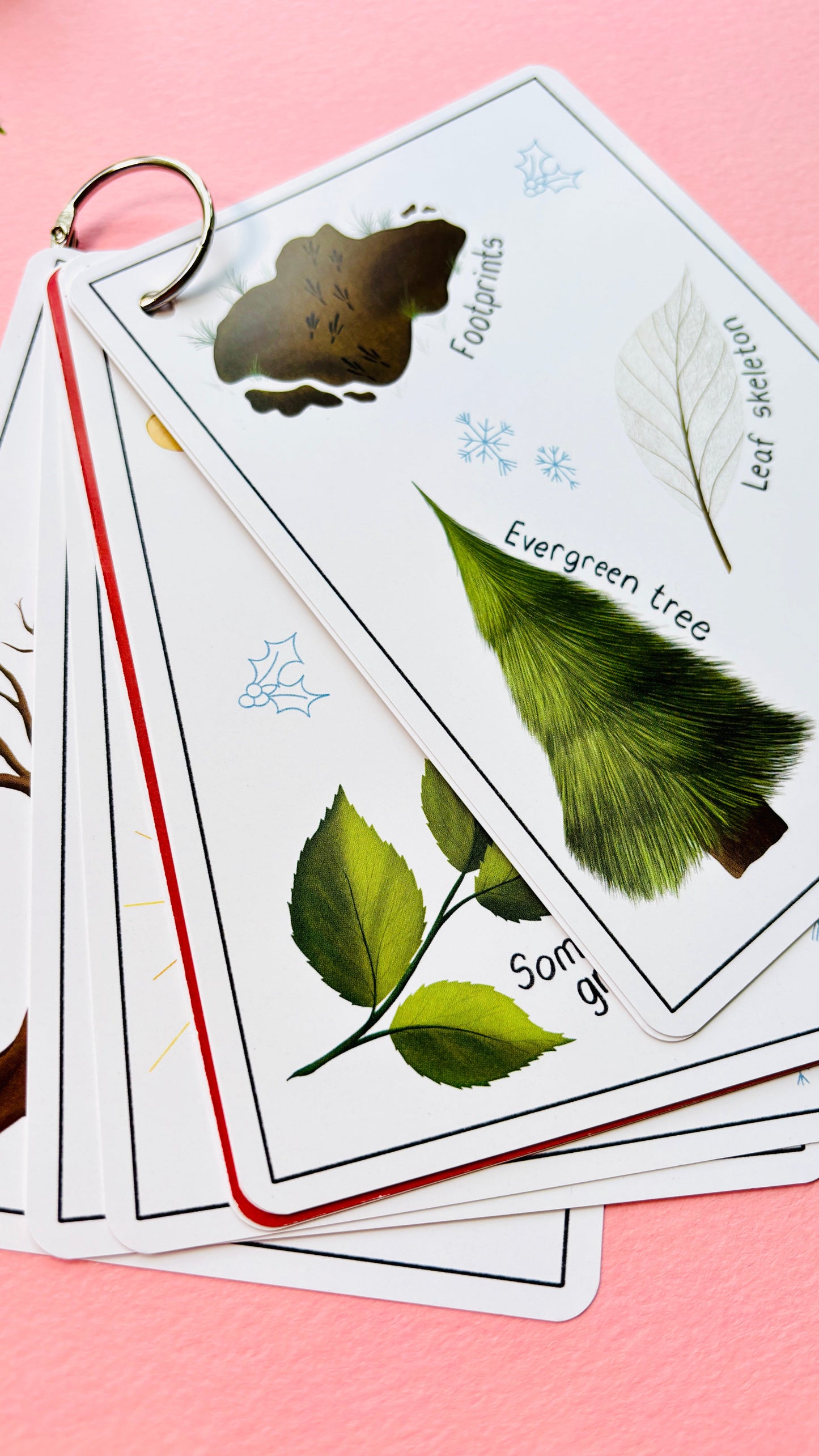 Winter Nature Scavenger Hunt Cards for Kids | Eco-Friendly Outdoor Christmas Gift