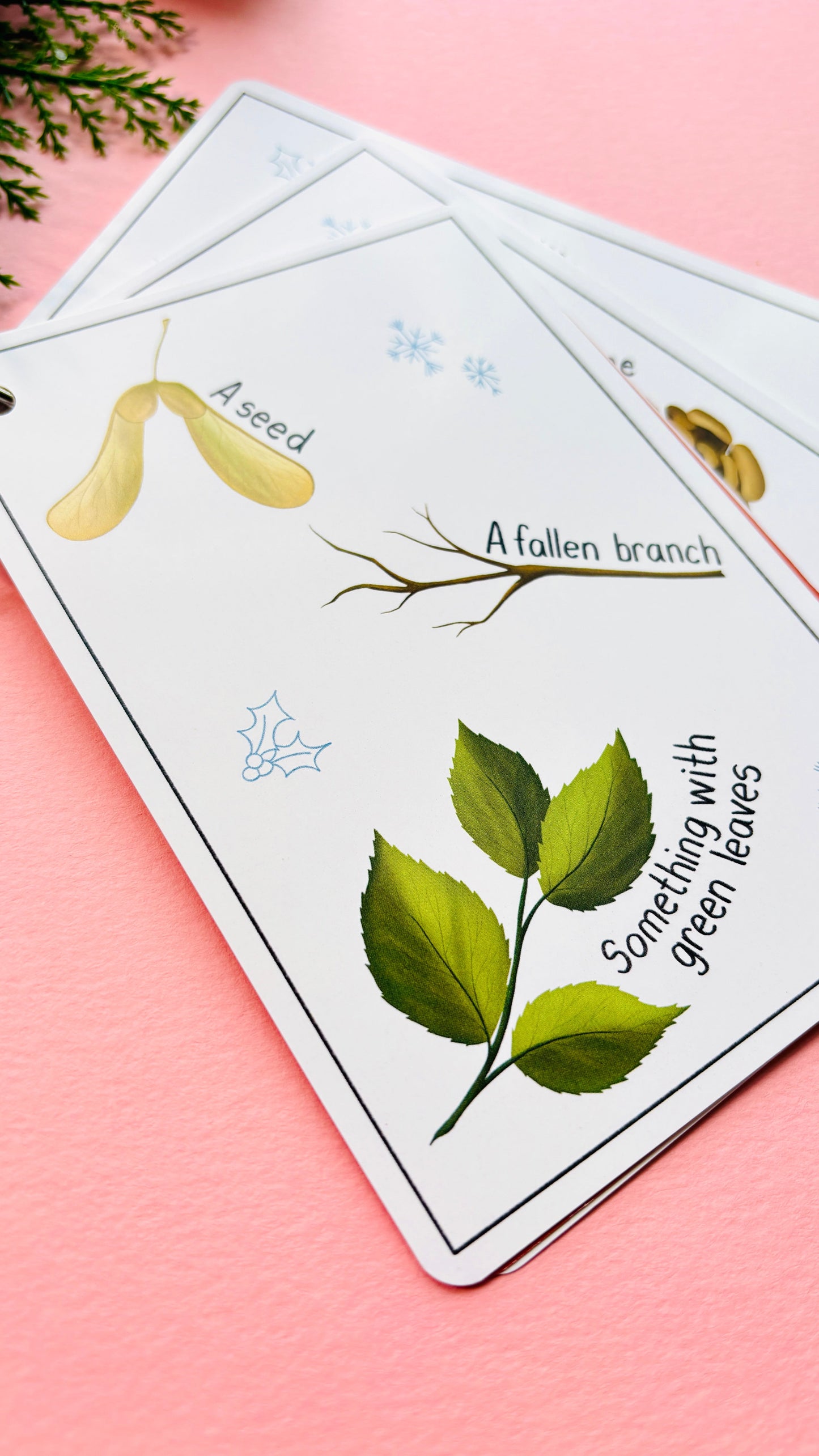 Winter Nature Scavenger Hunt Cards for Kids | Eco-Friendly Outdoor Christmas Gift