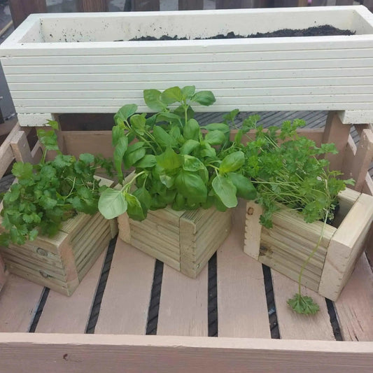 Wooden Decking herb planter boxes pack of 3