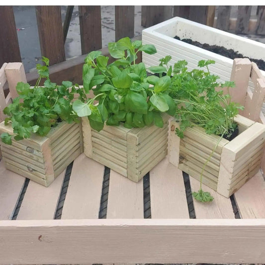 Wooden Decking herb planter boxes pack of 3