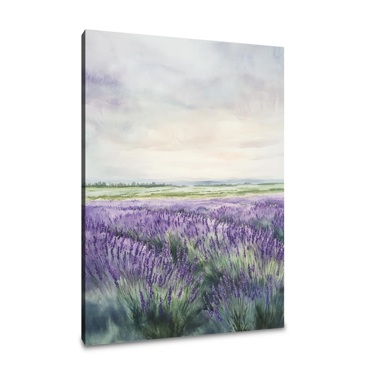 Melancholic Lavender Fields Canvas