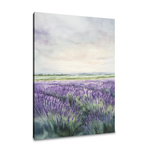 Melancholic Lavender Fields Canvas