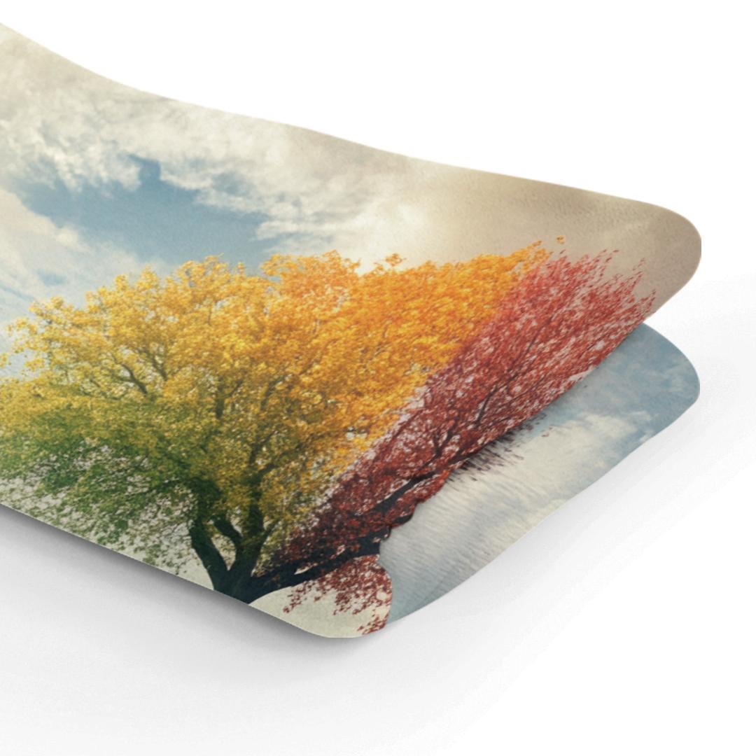 The Changing Seasons Blanket